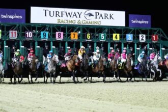 2026 John Battaglia Stakes Overview