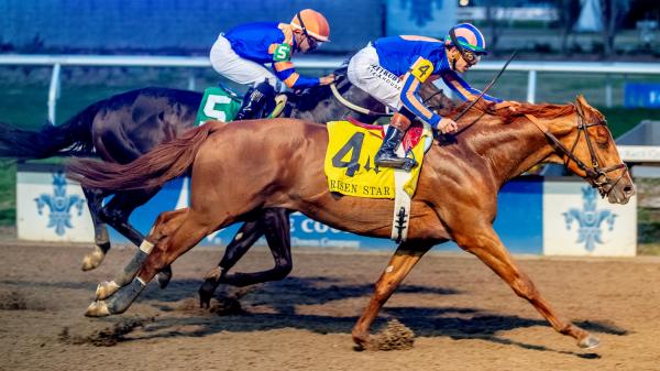 2026 Kentucky Derby Prediction Profile: Risen Star Stakes Winner Paladin