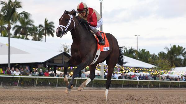 2026 Kentucky Derby Prospect Profile: Holy Bull Stakes winner almost confirmed