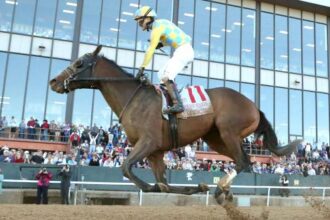 2026 Kentucky Derby Prospect Profile: Southwest Stakes Winner's Silence Tactics