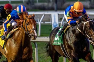 2026 Kentucky Derby Trail: 3 Heat-Ups and 3 Cool-Downs on February 18th