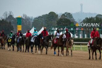 2026 Level Stakes Cheat Sheet