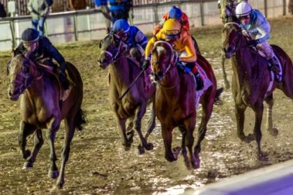 2026 Risen Star Stakes Cheat Sheet