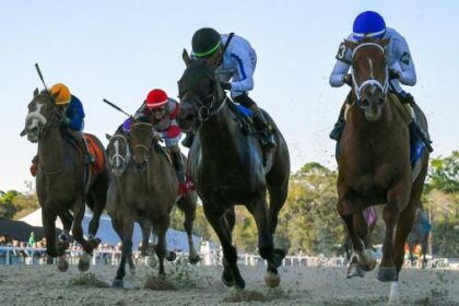 2026 Sam F. Davis Stakes Overview