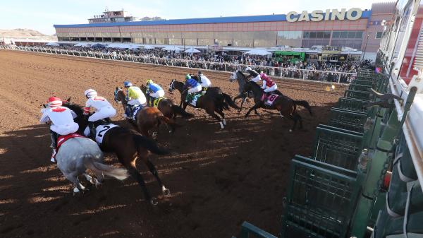 2026 Sunland Park Derby Overview