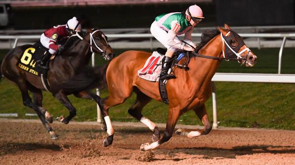 6 trends to consider when betting on the 2026 Risen Star Stakes