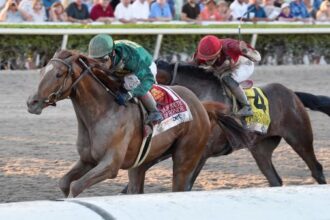 7 trends to know when betting on the 2026 Fountain of Youth Stakes