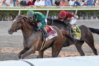 7 trends to know when betting on the 2026 Fountain of Youth Stakes