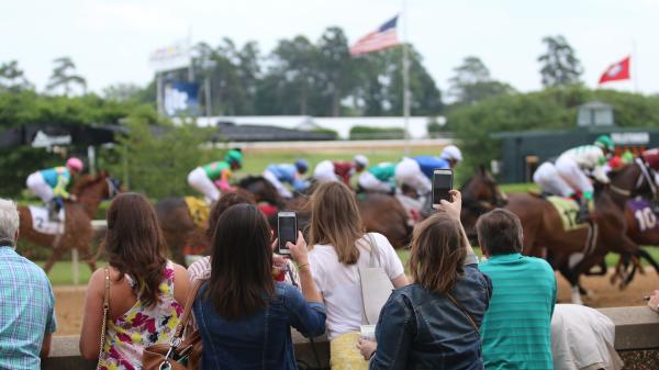 A look back at the past of popular horses in the 2026 Rebel Stakes