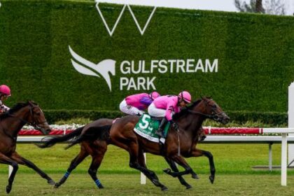 ABR Sunday Selection: Full Card Picks for February 8th at Gulfstream Park