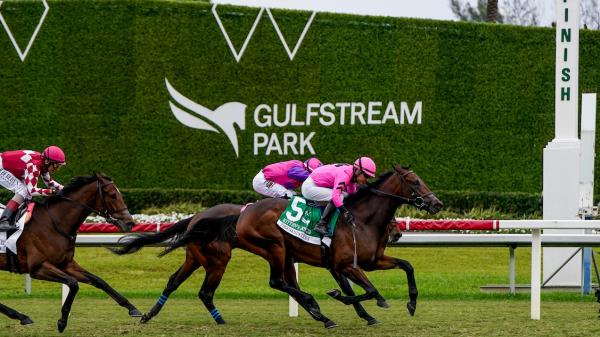 ABR Sunday Selection: Full Card Picks for February 8th at Gulfstream Park