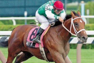 Afleet Alex: Incredible Athlete Takes Improbable Preakness Victory