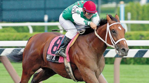 Afleet Alex: Incredible Athlete Takes Improbable Preakness Victory