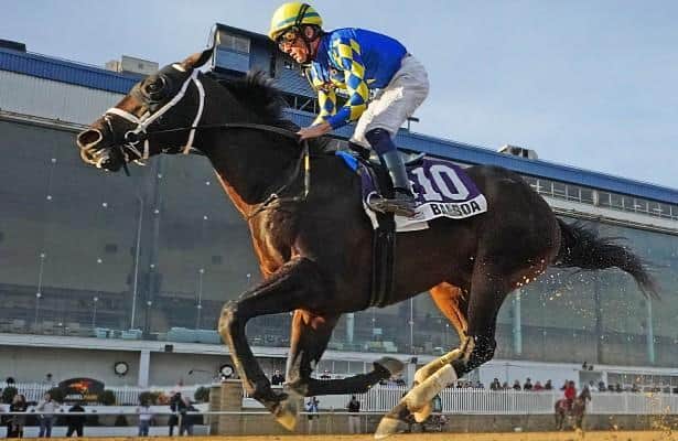 Balboa runs 5 furlongs at Laurel Park