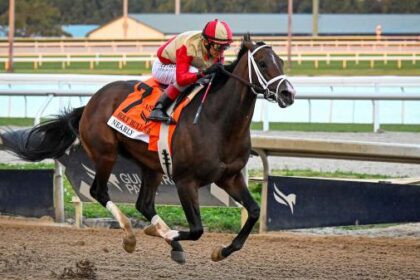 Big win in Holy Bull S. almost assumes role as Derby favorite