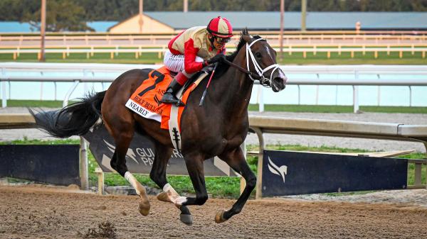 Big win in Holy Bull S. almost assumes role as Derby favorite