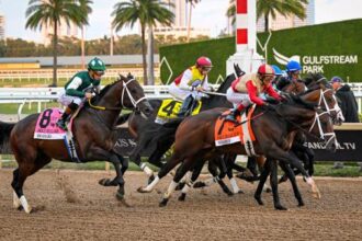 Byron King's Derby Dozen on February 5th