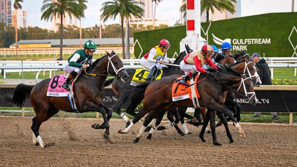 Byron King's Derby Dozen on February 5th