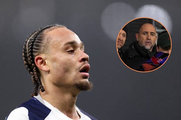 Image of Xavi Simons with overlay of new Spurs boss Igor Tudor
