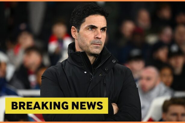 Arsenal breaking news