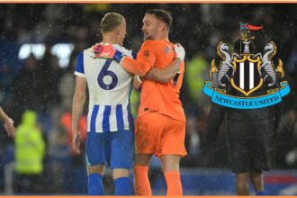 Bart Verbruggen has been linked with Newcastle