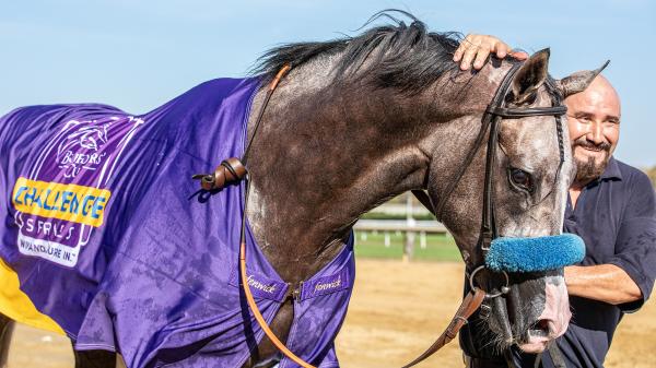 Champagne Stakes winner Napoleon Solo aims for Fountain of Youth