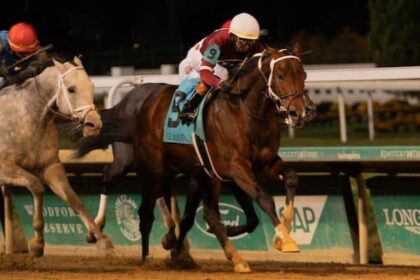 Clark Stakes winner Magnitude will not run in Saudi Cup