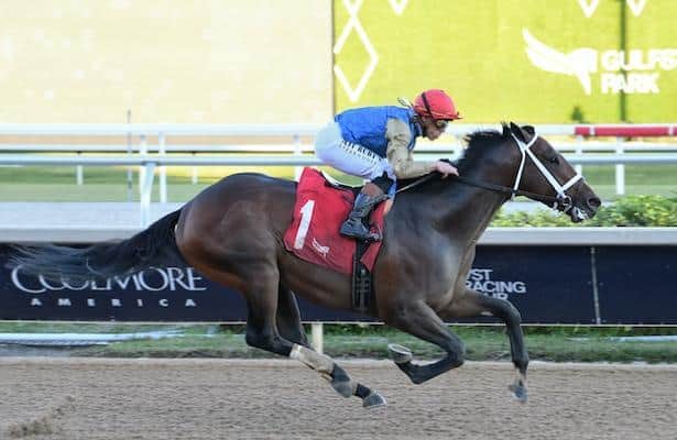 Coment is a 2-1 favorite in Kentucky. Preparing for the derby