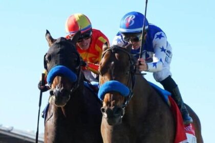 Coolmore acquires interest in Breeders' Cup winner Nysos