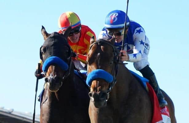 Coolmore acquires interest in Breeders' Cup winner Nysos