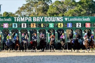 Cox, Pletcher Colts Lead Sam F. Davis Field