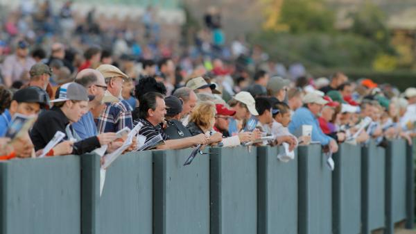 D'code Top Picks in Loaded 2026 Southwest Stakes