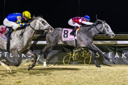 Ennis stares at Darby's trajectory after Great White attack at Battaglia Monument