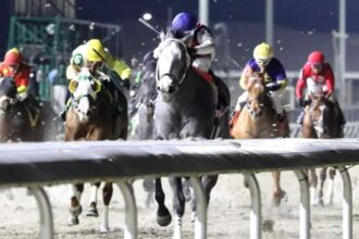 Equibase Earnings Leaderboard: Minor Changes as Major Derby Preparation Approaches