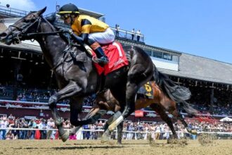 Ewing is back! What you need to know about Griffin Johnson's 3-year-old racehorse