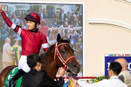 Forever Young and All the Key Horses to Know for the 2026 Saudi Cup Card