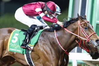 Forever Young headlines star-studded Saudi Cup potential list