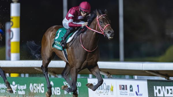 Forever Young wins back-to-back wins over Nisos in $20 million Saudi Cup