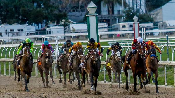 Golden Tempo defeats Paladin in Risen Star Stakes