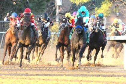 Historical trends to help you bet on level stakes in 2026