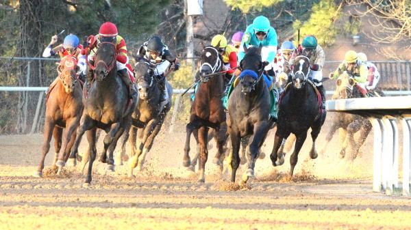 Historical trends to help you bet on level stakes in 2026