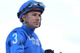 Junior Alvarado resumes riding Thursday after crash on Saturday