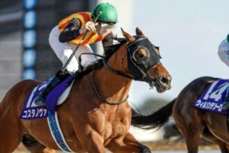 Kostanova defends February Stakes and earns ticket to BC Classic