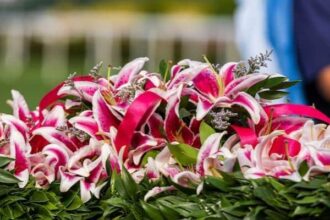 Labwah joins with no. 2nd place after winning UAE Oaks