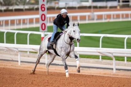 Lovesick Blues aims for comeback with Riyadh Dirt Sprint