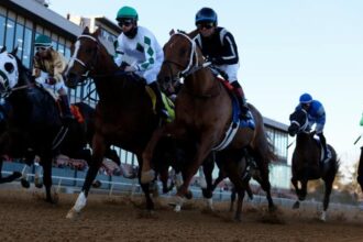 Noel's Weekend Winner: Action heats up at Hot Springs on Saturday