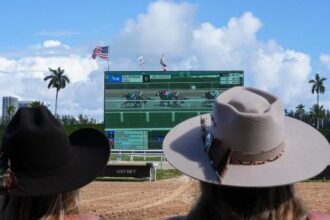 Noel's Weekend Winner: Selected for Pair of Wide Open Races at Gulfstream Park