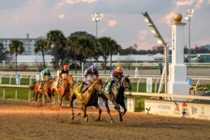 Paladin builds a big lead