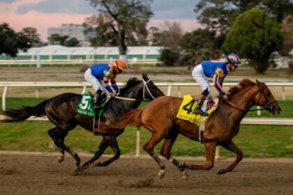 Paladin rises to top in latest Kentucky Derby Power Rankings