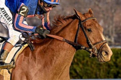 Paladin's first job since winning Risen Star